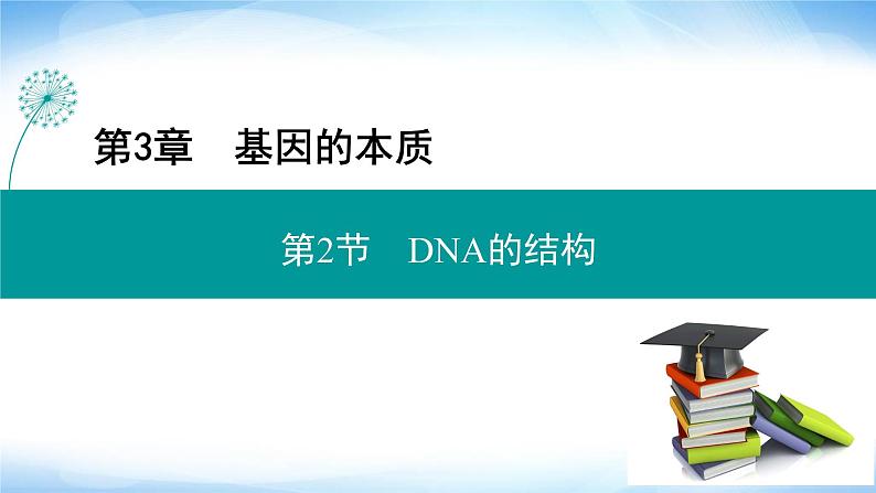 人教版高中生物必修二DNA的结构课件201