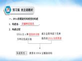 人教版高中生物必修二DNA的结构课件2