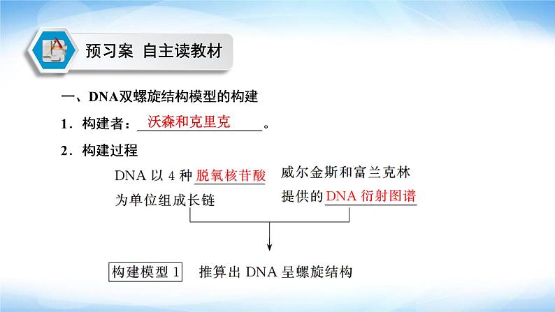 人教版高中生物必修二DNA的结构课件204