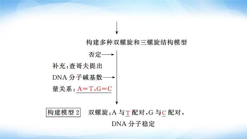 人教版高中生物必修二DNA的结构课件205