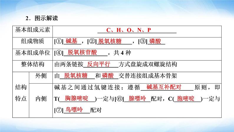 人教版高中生物必修二DNA的结构课件207