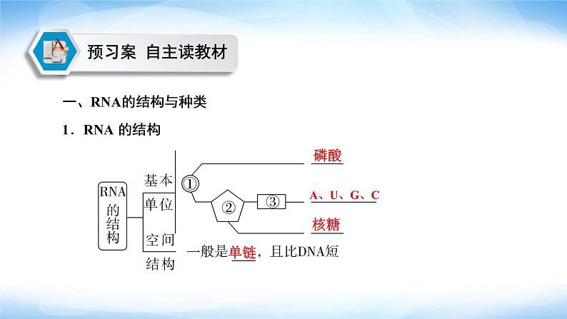 人教版高中生物必修二基因指导蛋白质的合成课件1第4页