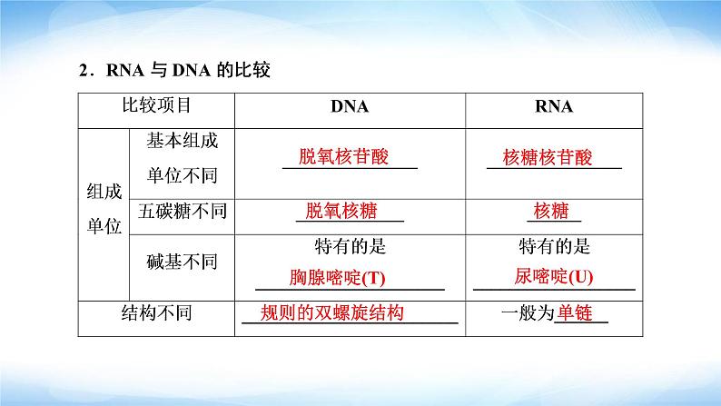 人教版高中生物必修二基因指导蛋白质的合成课件1第5页