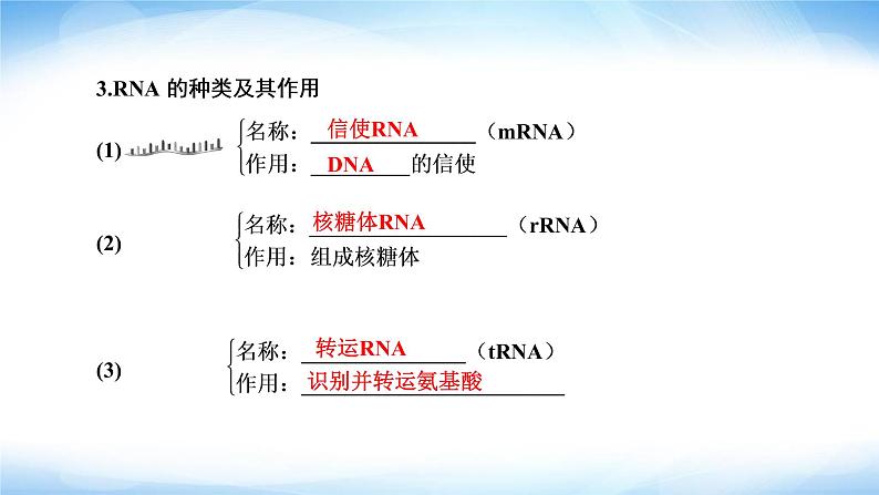 人教版高中生物必修二基因指导蛋白质的合成课件1第6页