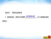 人教版高中生物必修二基因指导蛋白质的合成课件2