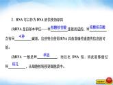 人教版高中生物必修二基因指导蛋白质的合成课件2