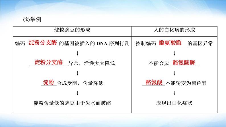 人教版高中生物必修二基因表达与性状的关系课件1第5页