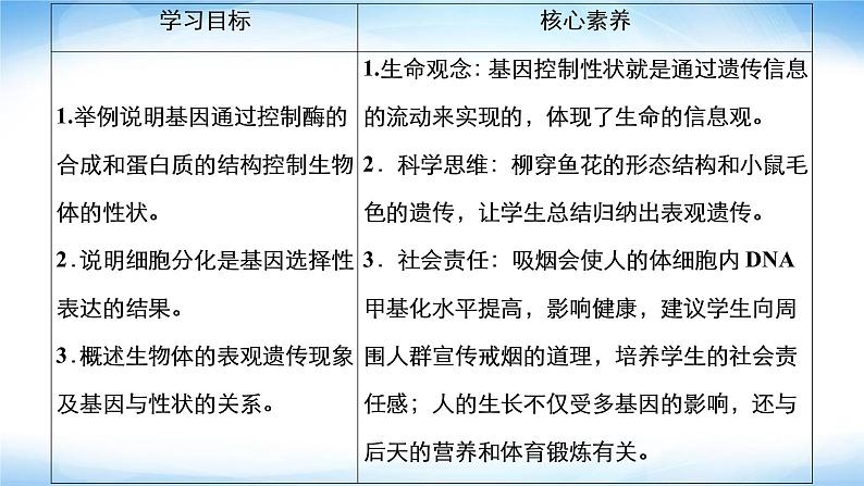 人教版高中生物必修二基因表达与性状的关系课件202