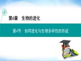 人教版高中生物必修二协同进化与生物多样性的形成课件1