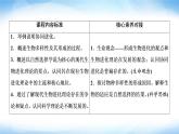 人教版高中生物必修二协同进化与生物多样性的形成课件1