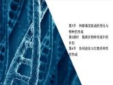 人教版高中生物必修二协同进化与生物多样性的形成课件2