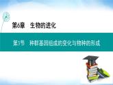 人教版高中生物必修二种群基因组成的变化与物种的形成课件
