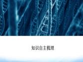 人教版高中生物必修二种群基因组成的变化课件