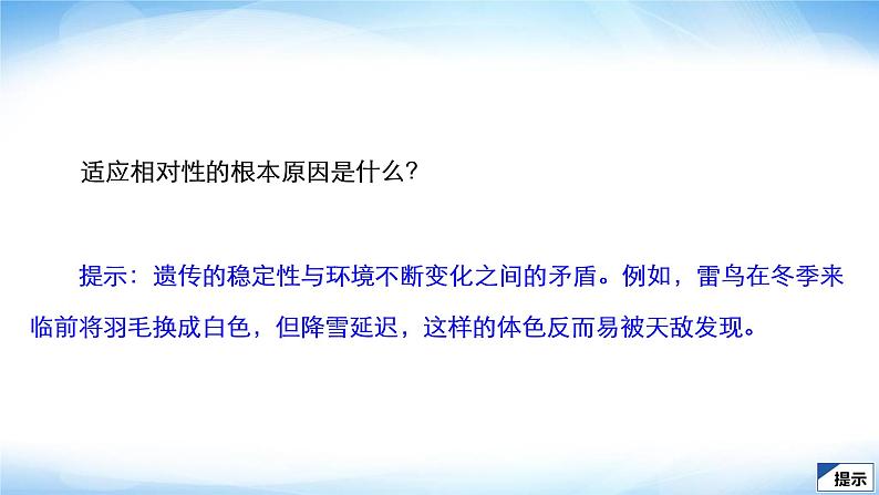 人教版高中生物必修二自然选择与适应的形成课件第6页