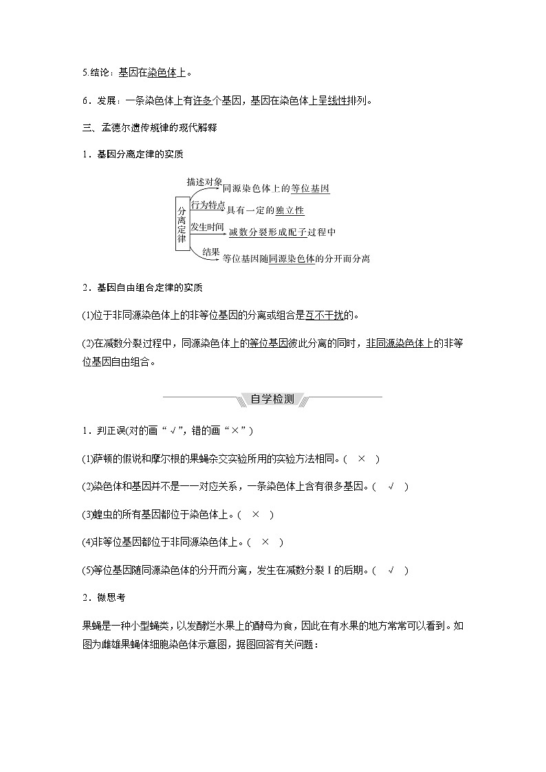 人教版高中生物必修二基因在染色体上学案第3页