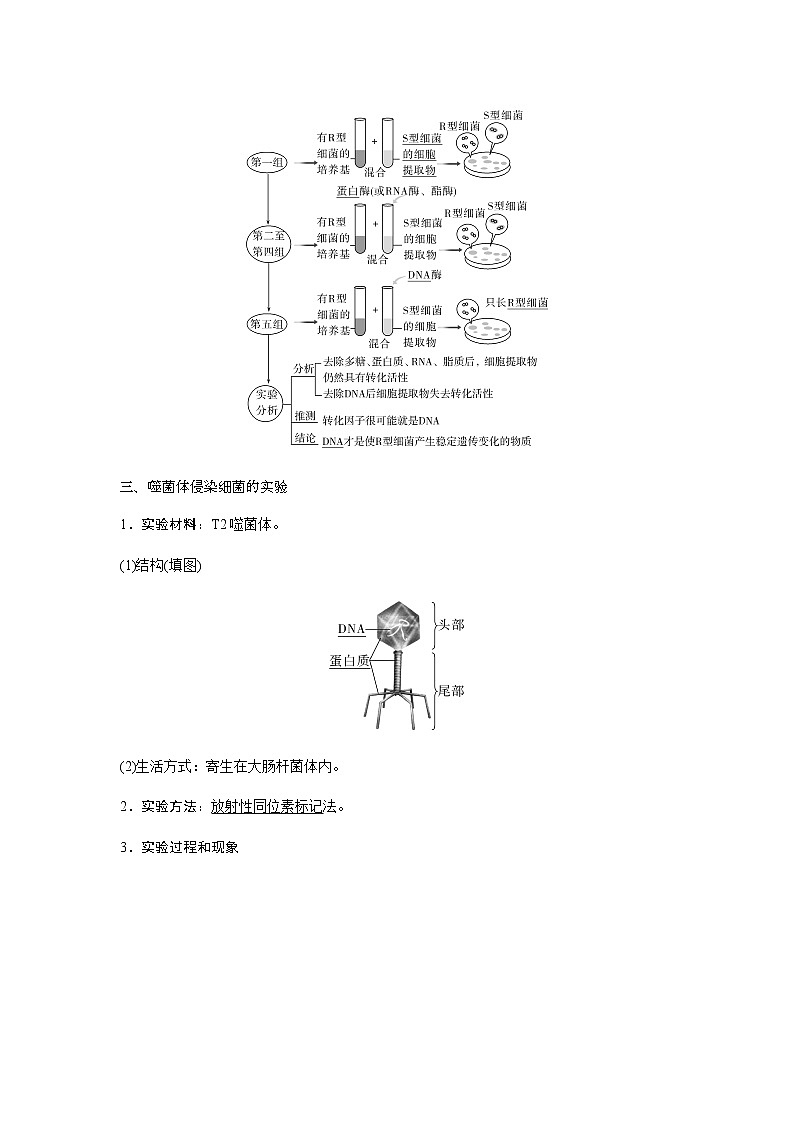 人教版高中生物必修二DNA是主要的遗传物质学案第3页