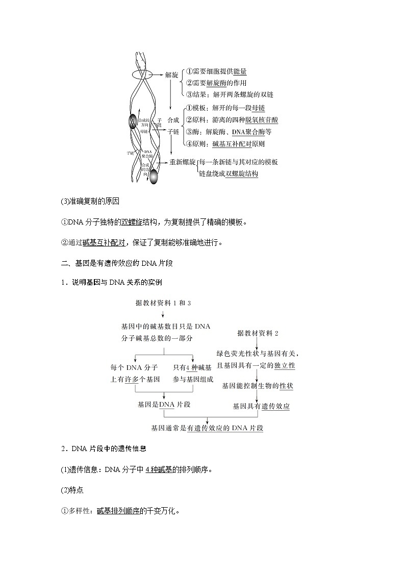 人教版高中生物必修二基因通常是有遗传效应的DNA片段学案第3页