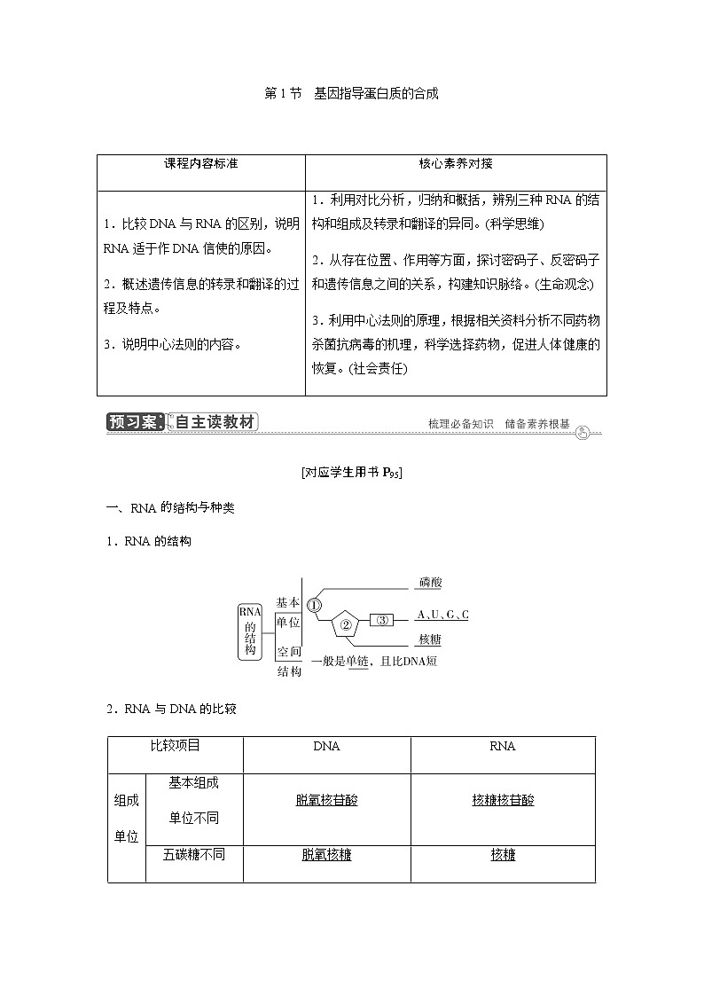 人教版高中生物必修二基因指导蛋白质的合成学案01