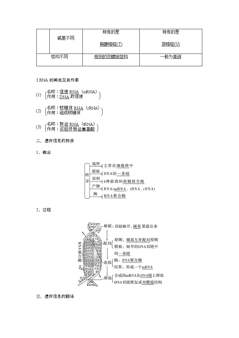 人教版高中生物必修二基因指导蛋白质的合成学案02