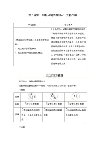 高中生物人教版 (2019)必修2《遗传与进化》二 受精作用学案