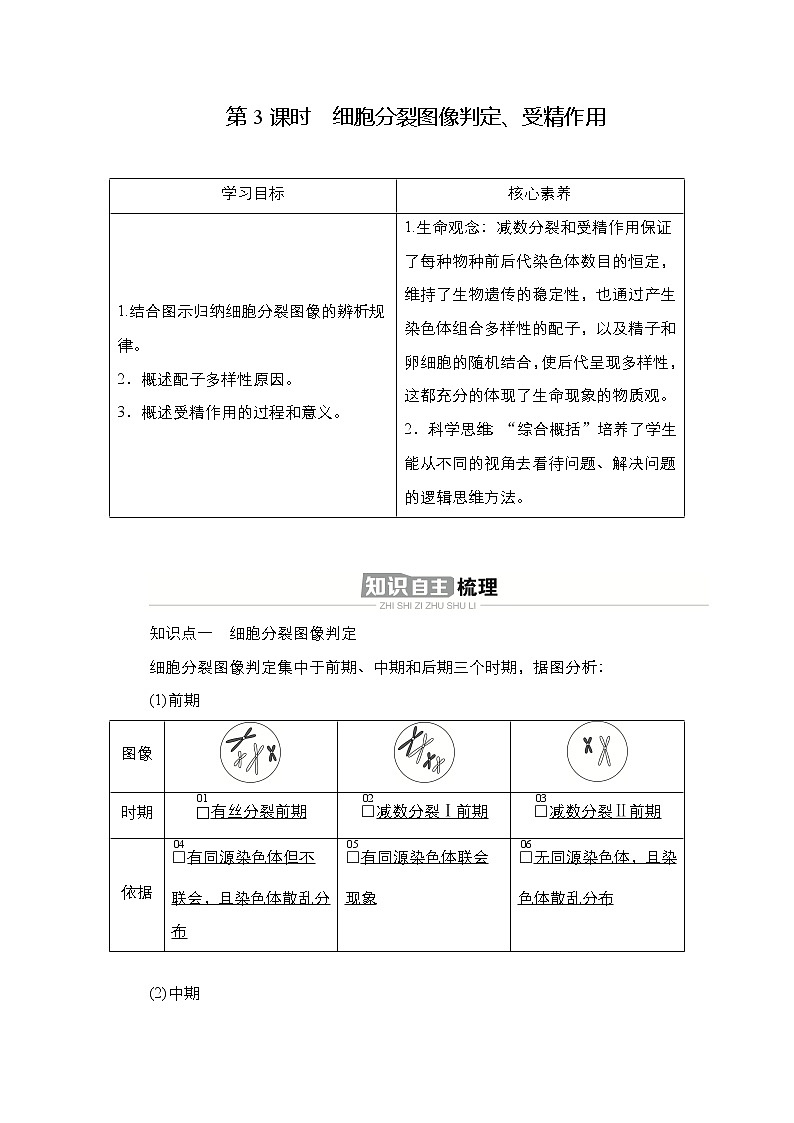 人教版高中生物必修二细胞分裂图像判定、受精作用学案第1页
