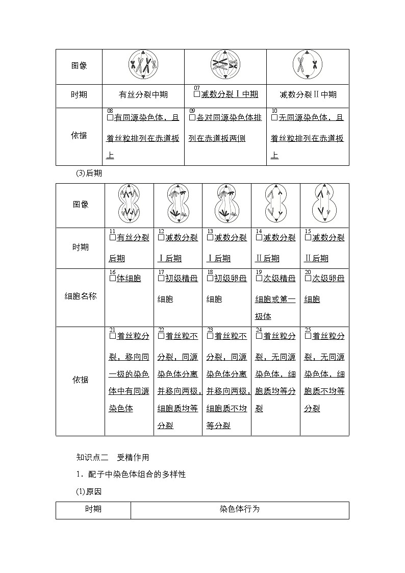 人教版高中生物必修二细胞分裂图像判定、受精作用学案第2页