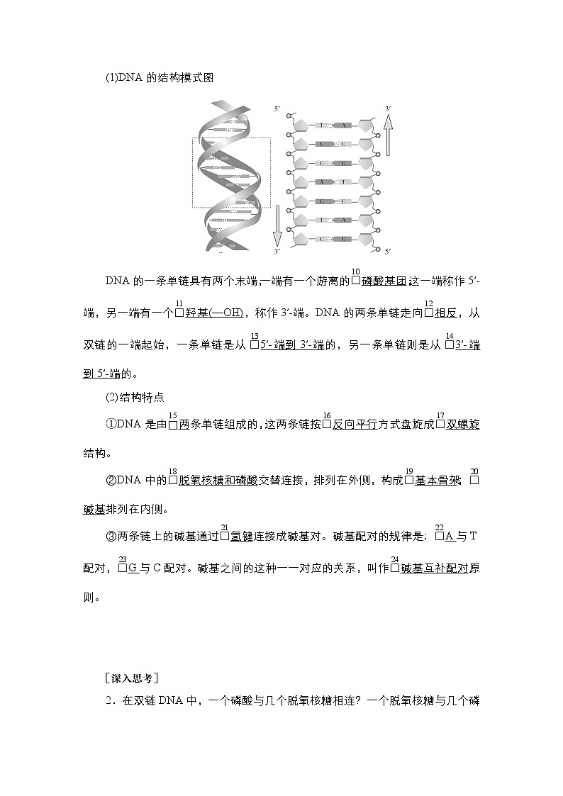 人教版高中生物必修二DNA的结构学案03