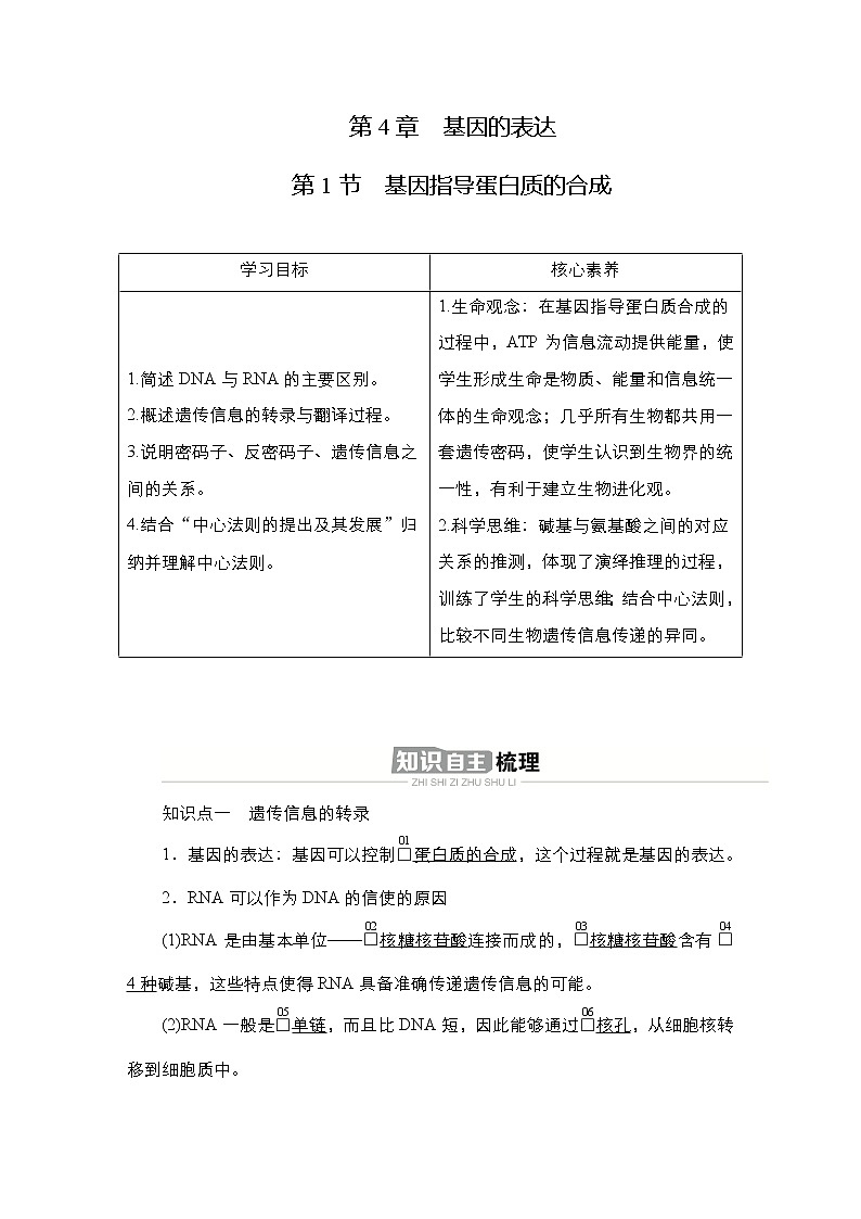 人教版高中生物必修二基因指导蛋白质的合成学案第1页