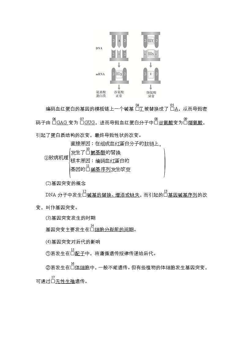 人教版高中生物必修二基因突变和基因重组学案第2页