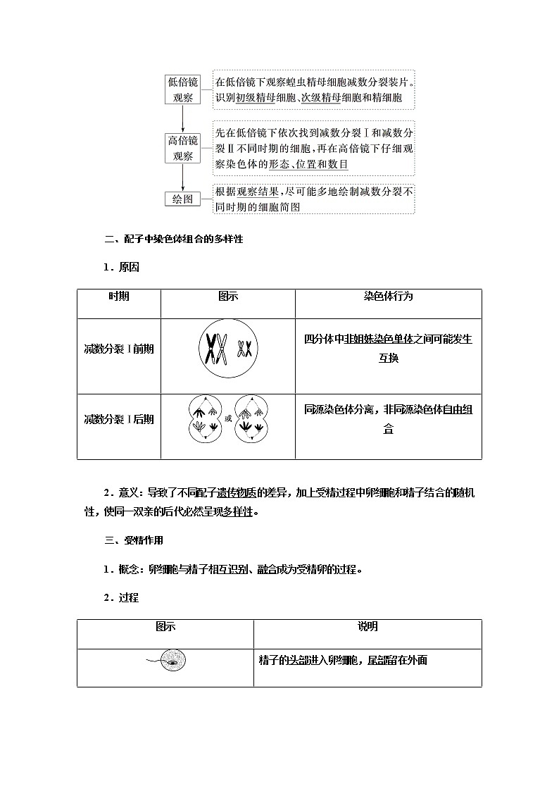 人教版高中生物必修二受精作用学案02