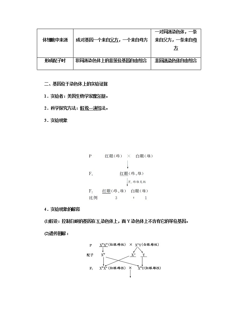 人教版高中生物必修二基因在染色体上学案02