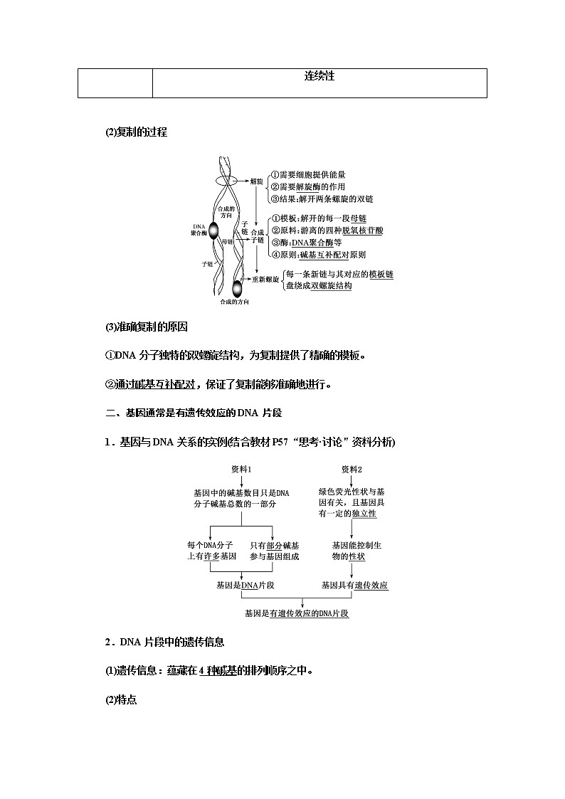 人教版高中生物必修二DNA的复制、基因通常是有遗传效应的DNA片段学案第3页