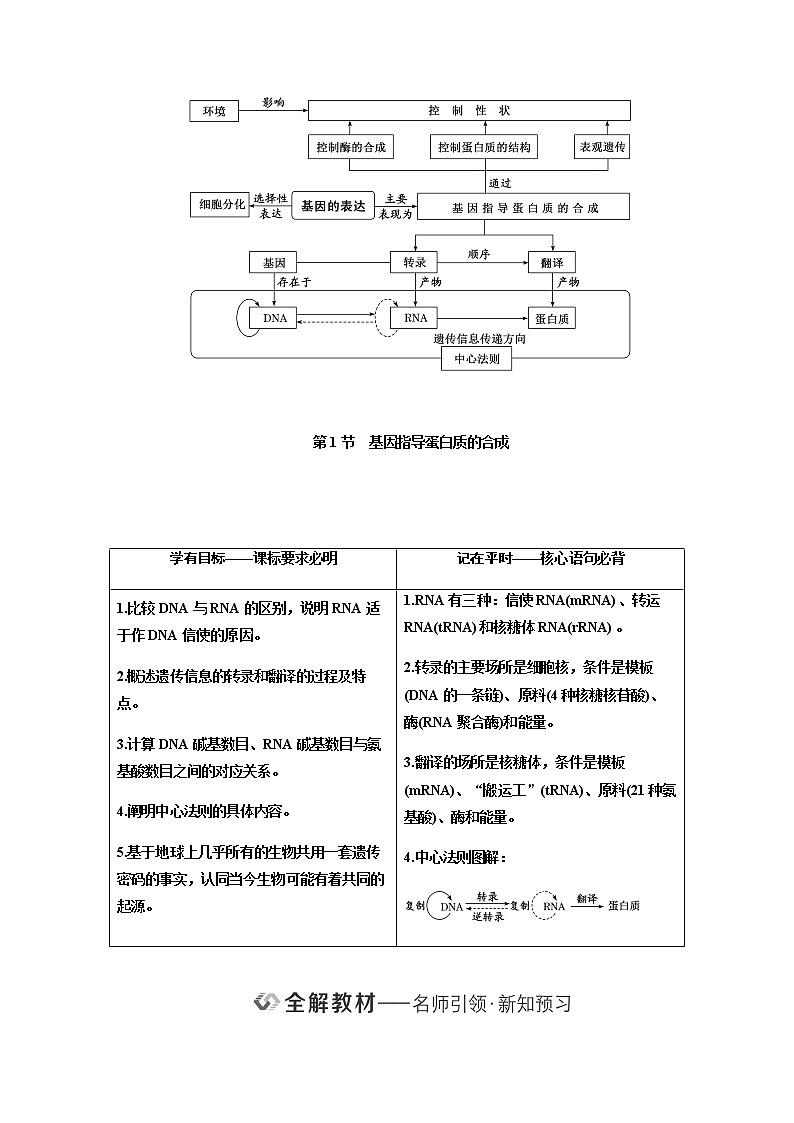 人教版高中生物必修二基因指导蛋白质的合成学案第2页