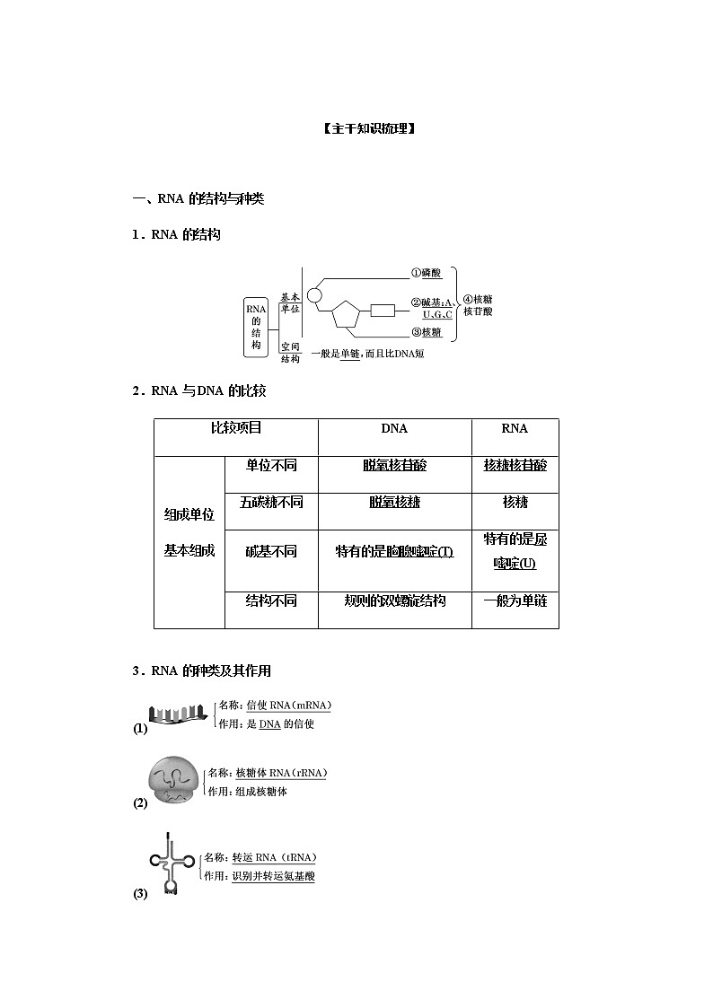 人教版高中生物必修二基因指导蛋白质的合成学案第3页