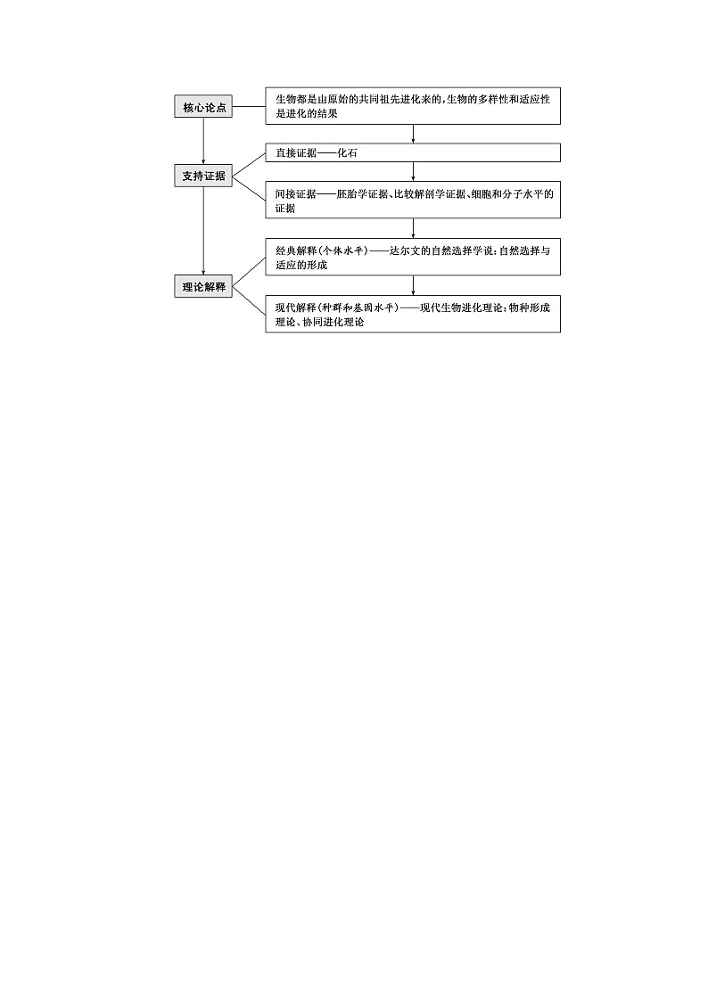人教版高中生物必修二生物有共同祖先的证据自然选择与适应的形成学案02