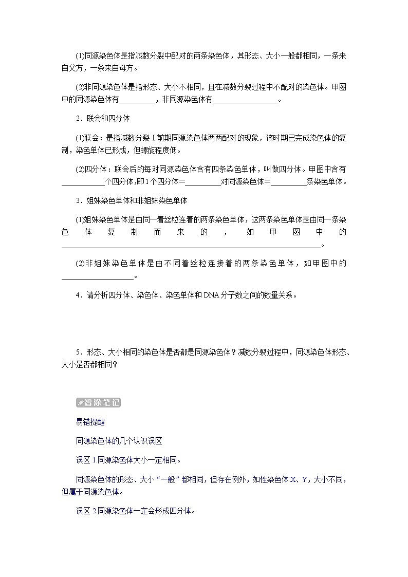 人教版高中生物必修二减数分裂与精子和卵细胞的形成过程学案03