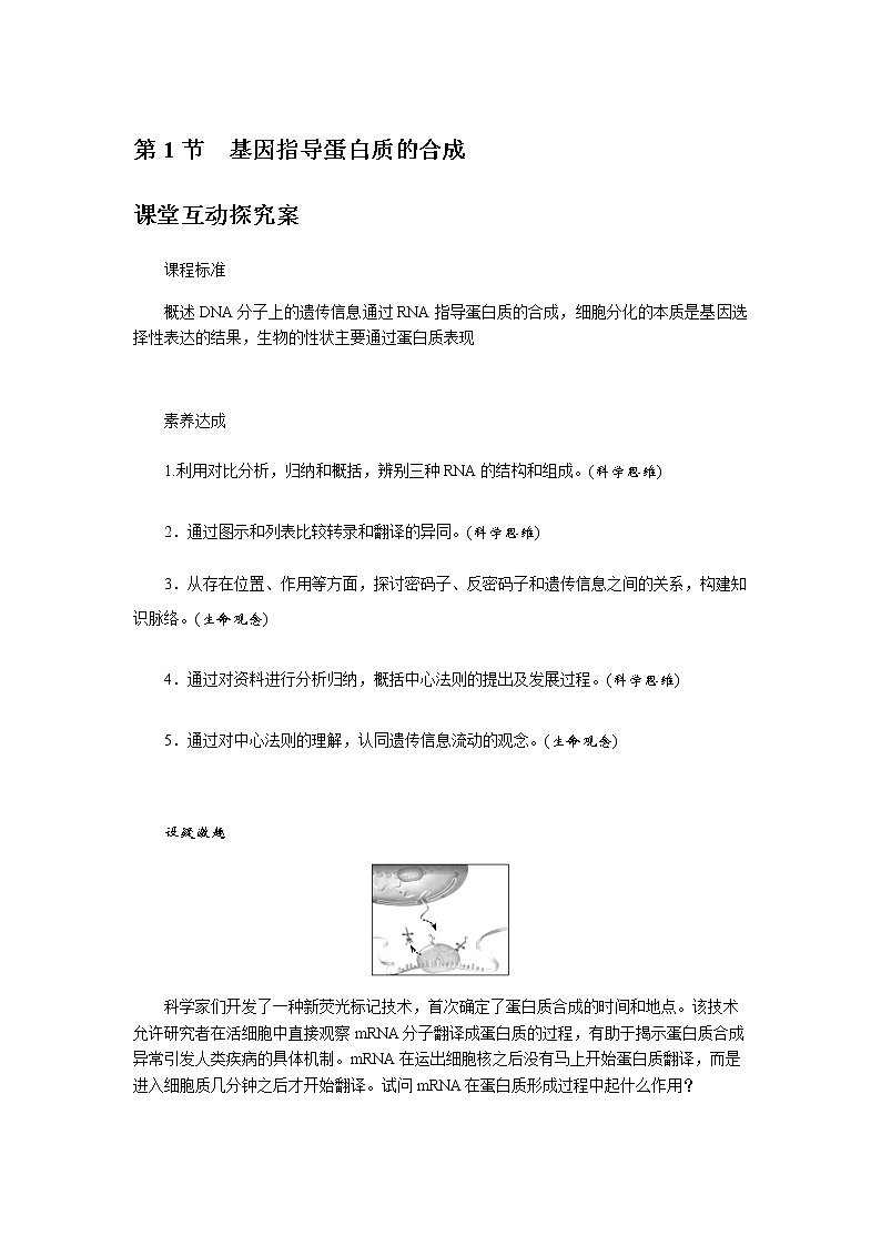 人教版高中生物必修二基因指导蛋白质的合成学案第1页