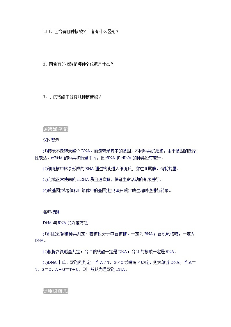 人教版高中生物必修二基因指导蛋白质的合成学案第3页