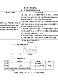 人教版 (2019)必修2《遗传与进化》第1节 基因指导蛋白质的合成导学案
