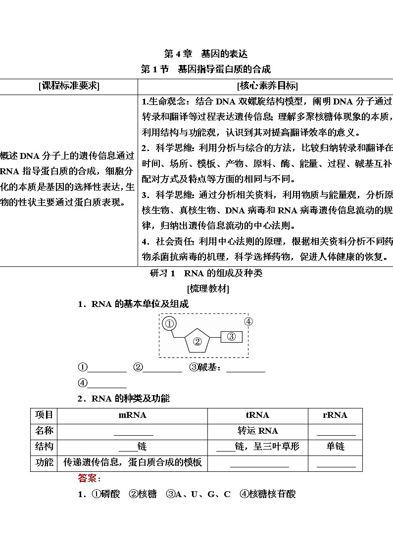 人教版高中生物必修2 4-1基因指导蛋白质的合成学案第1页