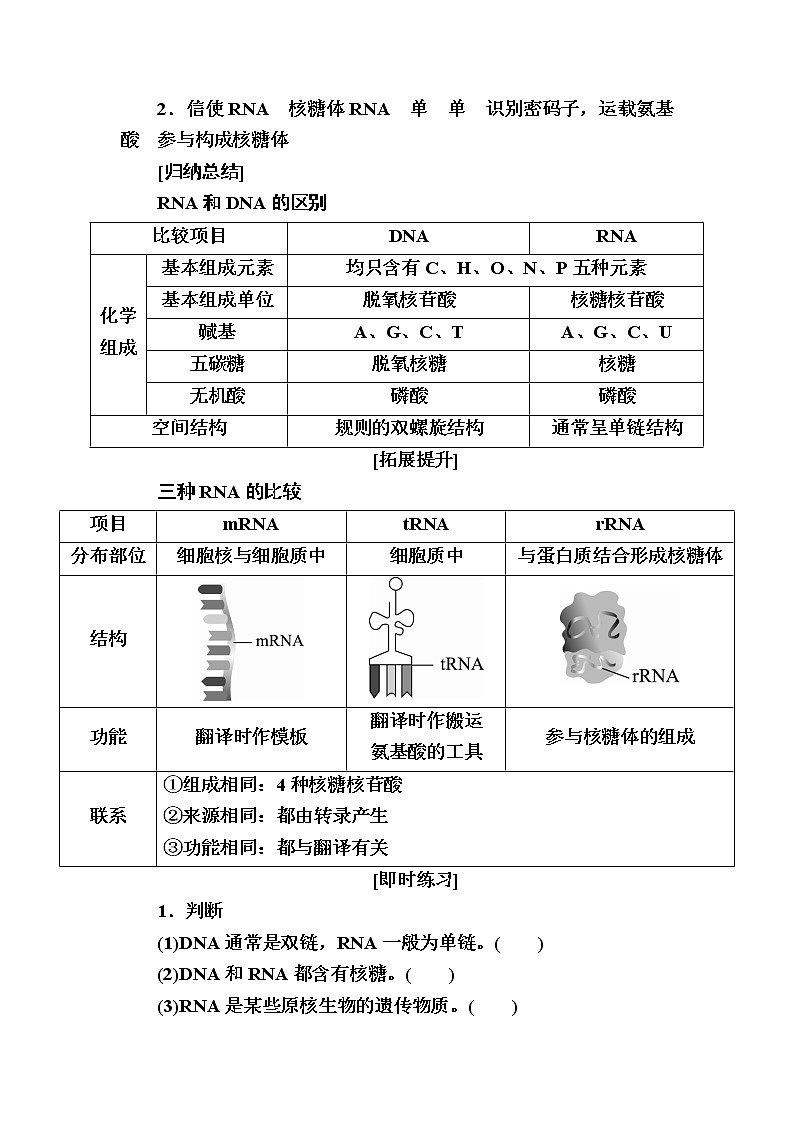 人教版高中生物必修2 4-1基因指导蛋白质的合成学案第2页