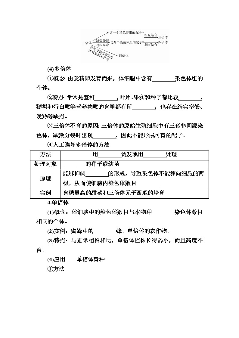 人教版高中生物必修2 5-2染色体变异学案02
