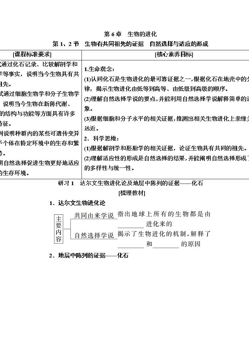人教版高中生物必修2 6-1、2生物有共同祖先的证据自然选择与适应的形成学案01