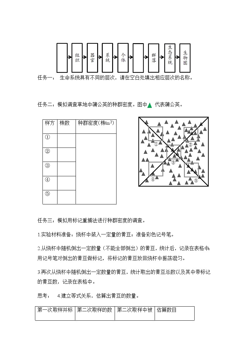 人教版（2019）高中生物选择性必修二1-1种群的数量特征（第一课时）学案02