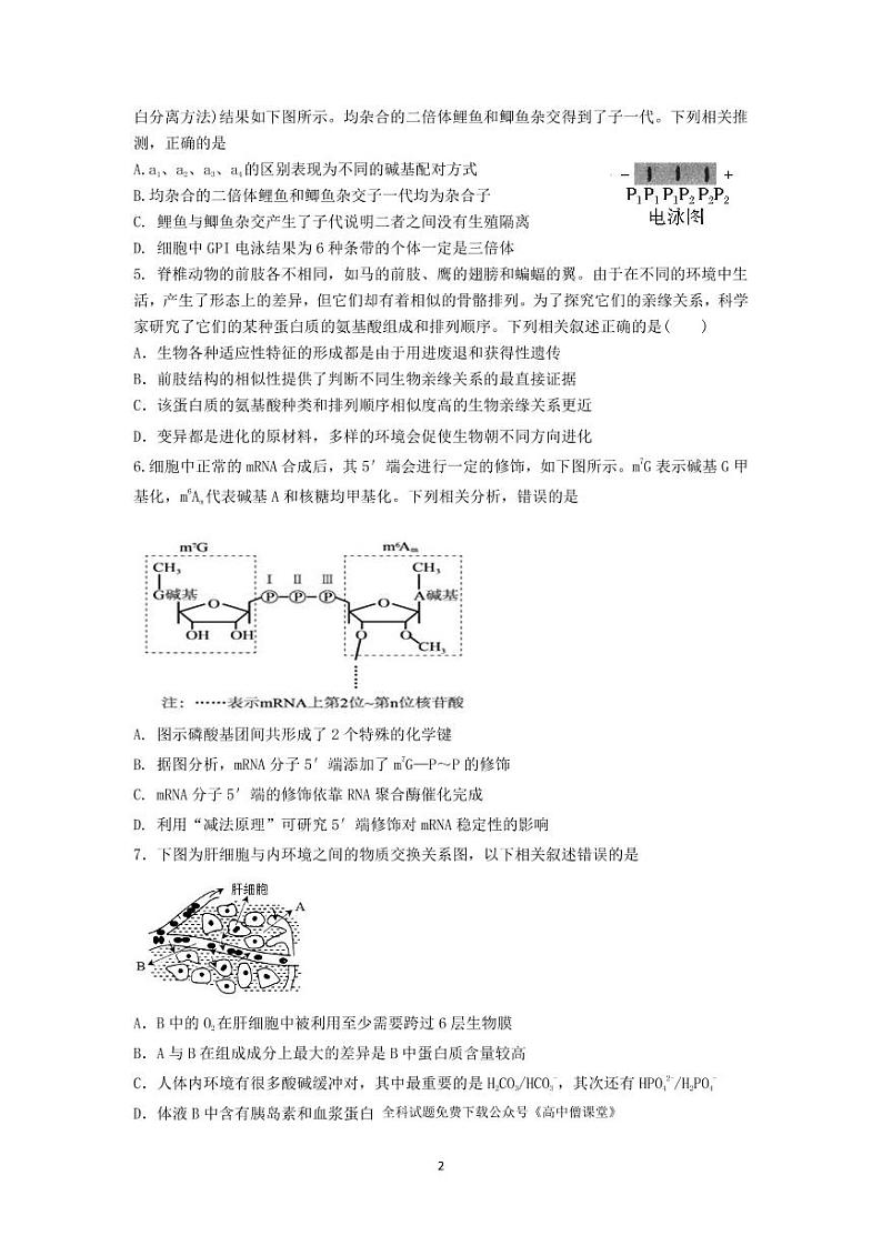 辽宁省沈阳市第二中学2022-2023学年高三上学期期末考试生物试题PDF版无答案第2页