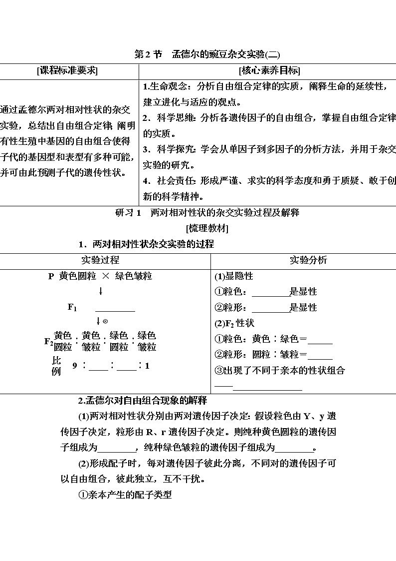 人教版高中生物必修2 1-2孟德尔的豌豆杂交实验(二)学案01