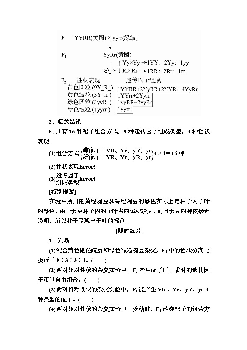 人教版高中生物必修2 1-2孟德尔的豌豆杂交实验(二)学案03