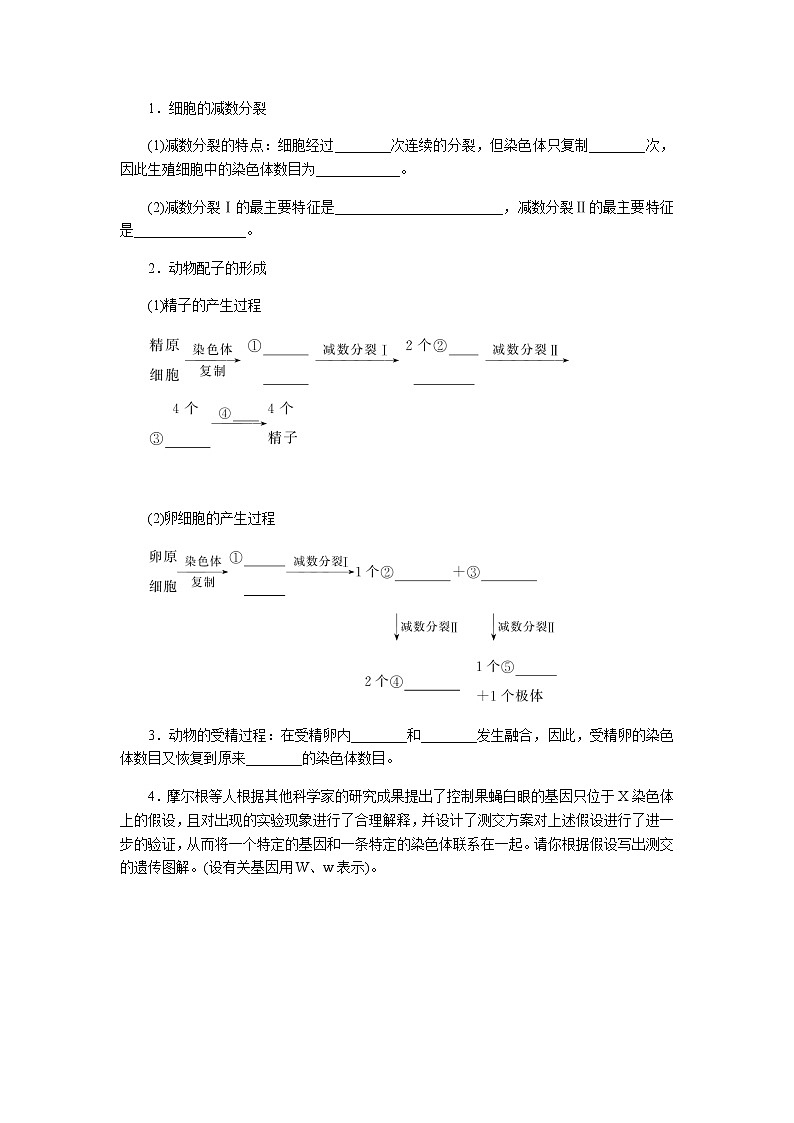 人教版高中生物必修二基因和染色体的关系专项培优二学案含答案03