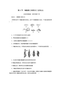 高中生物人教版 (2019)必修1《分子与细胞》第2节 细胞器之间的分工合作课堂检测