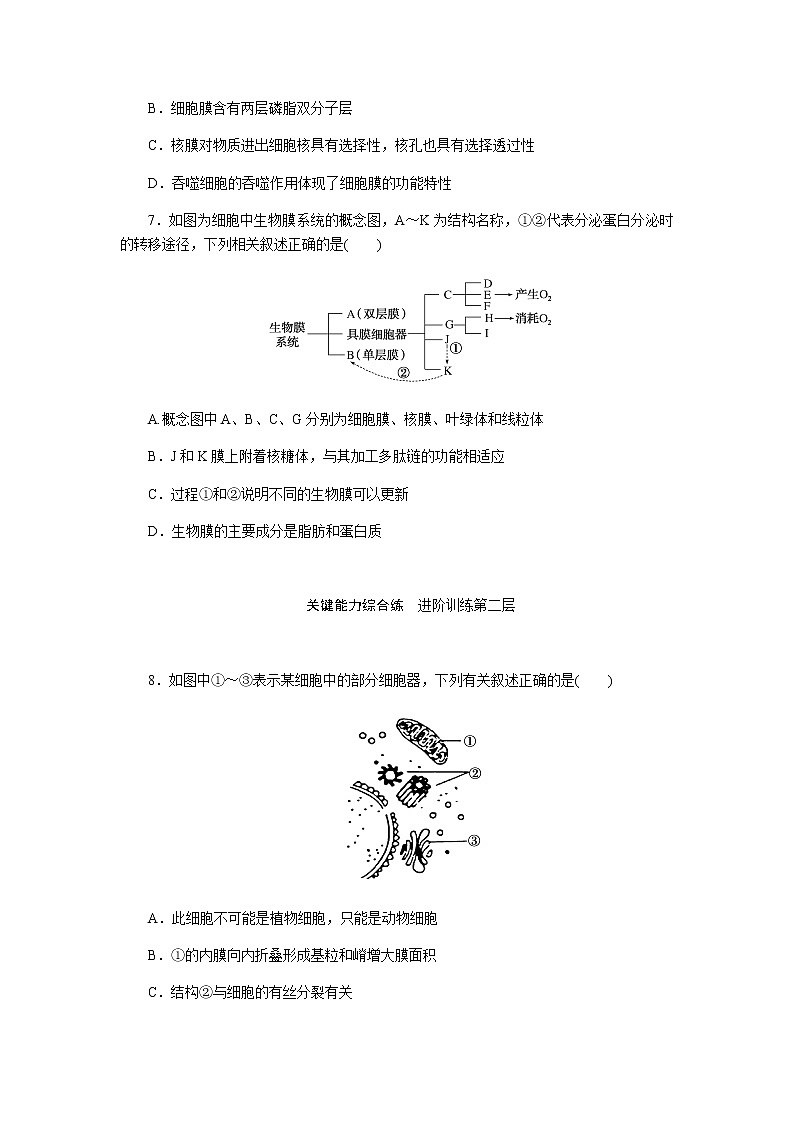 人教版高中生物必修一细胞器之间的分工合作(2)作业含答案第3页